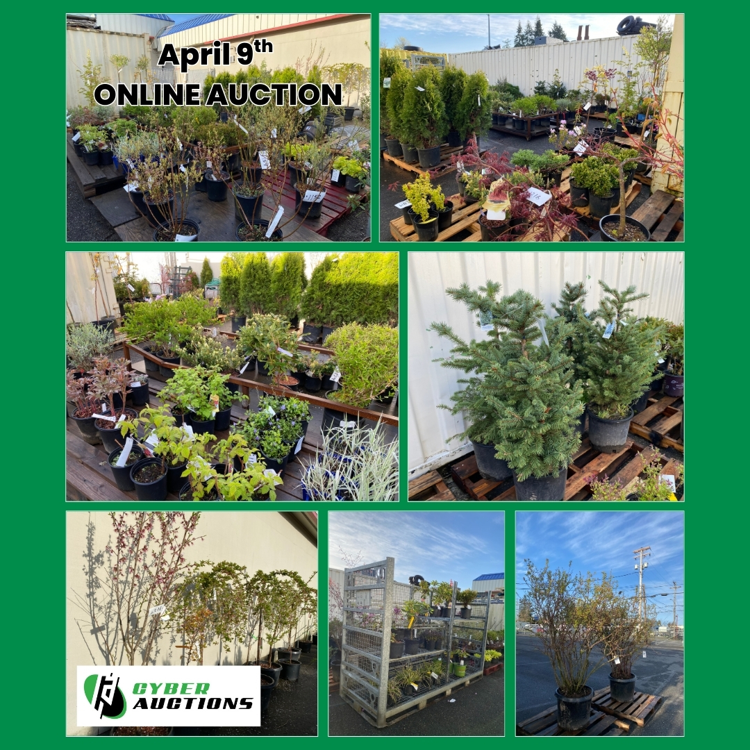 April 9th ONLINE AUCTION